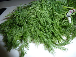 Dill comes in bunches the size of your head. I better get some salmon or something later this week.